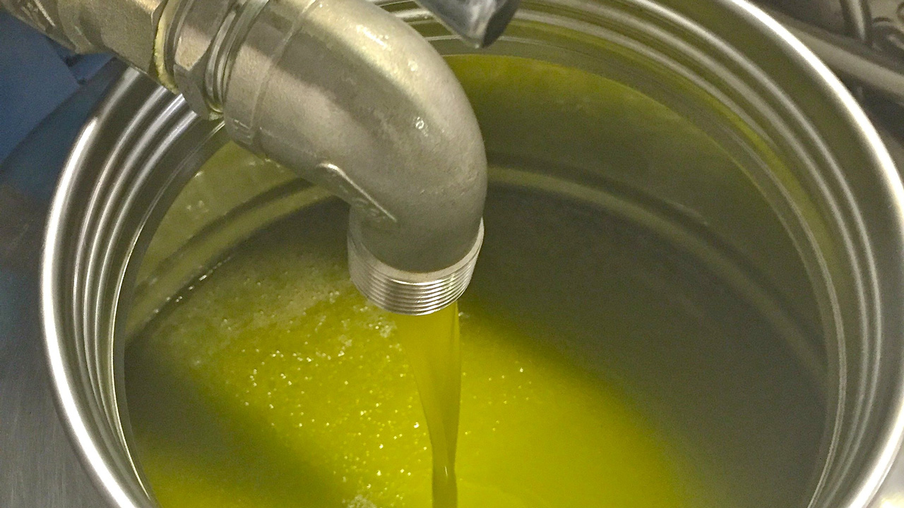 Olio Oliva Toscano